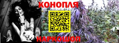каннабис Кингисепп