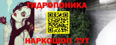 прущая мука Кимры
