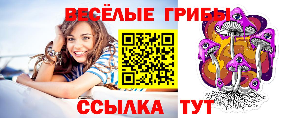 Галлюциногенные грибы мухоморы  купить  сайты  Вход с VPN  Котовск  Псилоцибиновые грибы Cubensis 